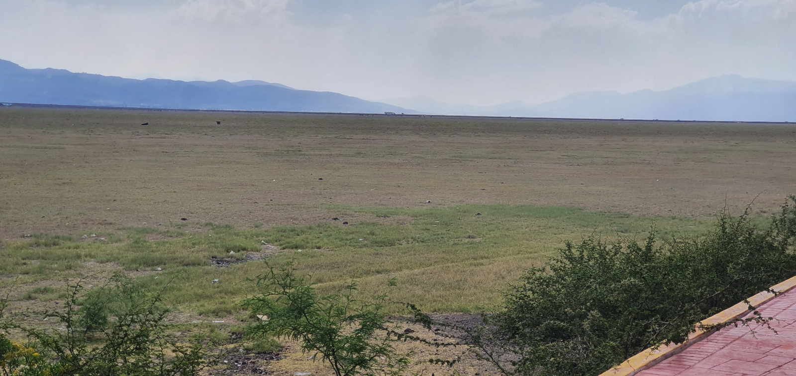 Cuitzeo no está muerto; tiene remedio, como lo tuvo el Lago de Chapala, dicen organizaciones civiles