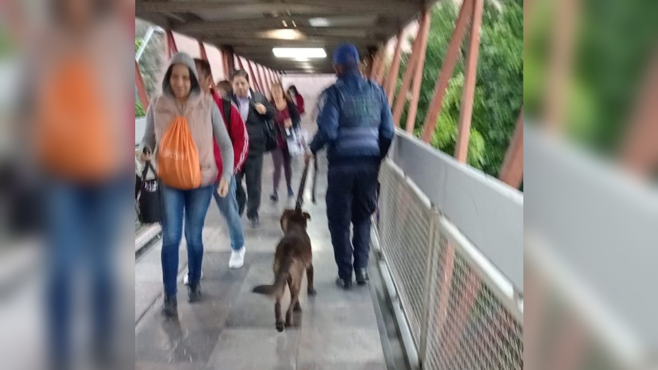 metro_perrito_linea_a