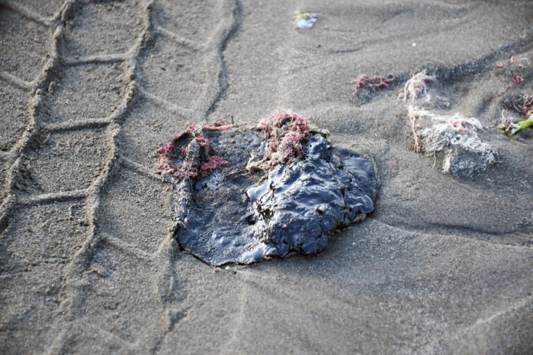 México recoge 128 toneladas de residuos y da ayuda para afectados por derrame en el Golfo