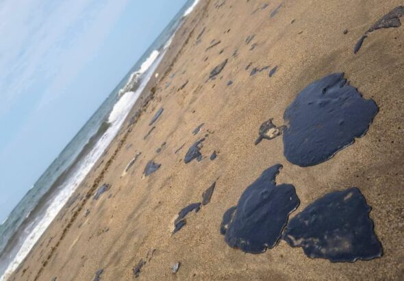 1518ed760d91454ca7cc4e774a8fd71c