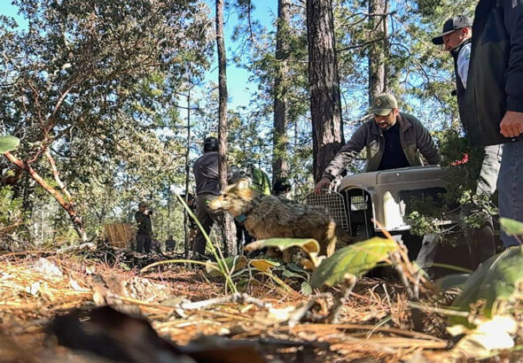 260aef777b4b45258e9ab2236e614d0b