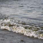 Tras un mes del derrame de crudo en sureste de México siguen dudas sobre daños y origen