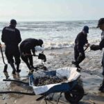 3c0261adf1914ac09bce243bdf6d4f99