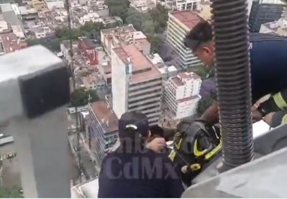 43c0a64cb5354419a0156d8c482dfab9