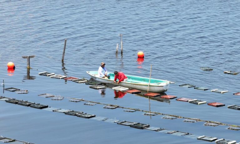 883e7775a47d415eba89b62306a7ac46