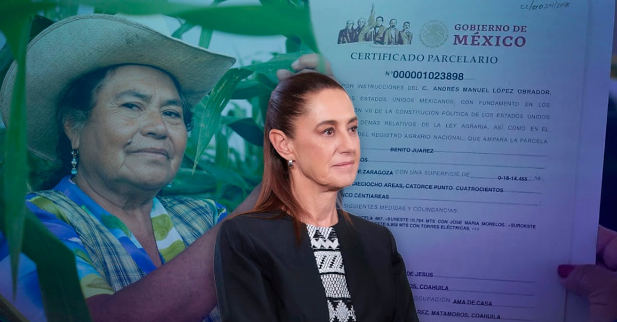 893c50b51af1434e880b3a2e25b731c7