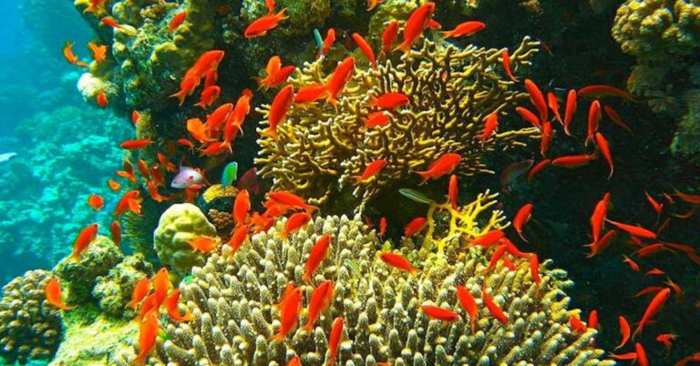 8c995f1bee9447f1a9963bf8c9c966ec