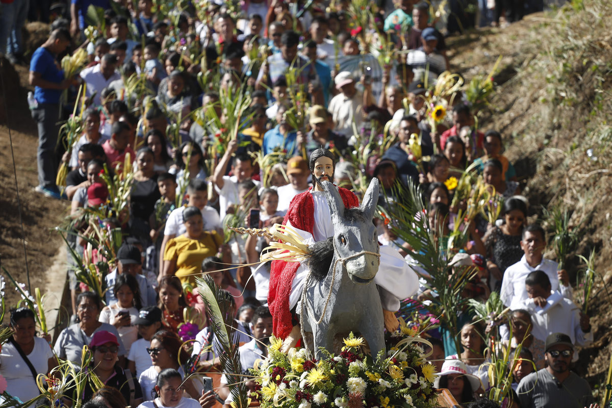 Católicos de América Latina piden en el Domingo de Ramos terminar guerras e injusticias