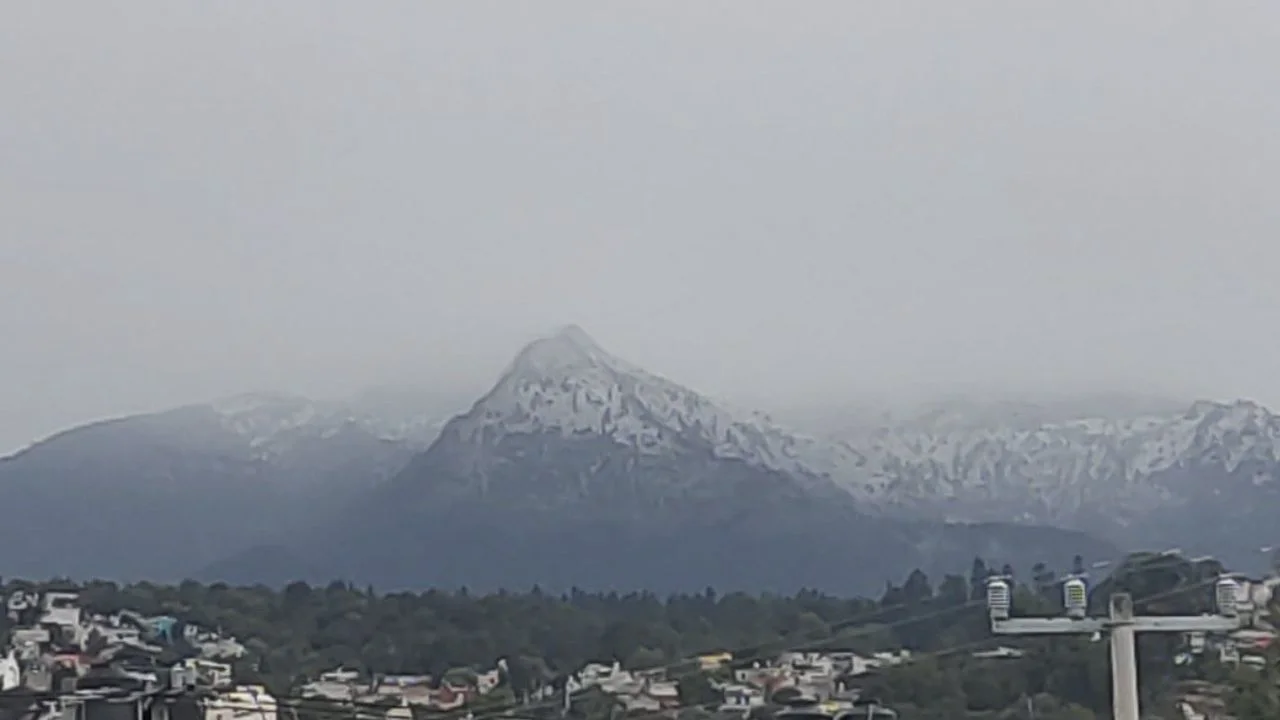 a3aeb7bdea0e460e97213a5b0529d3e5