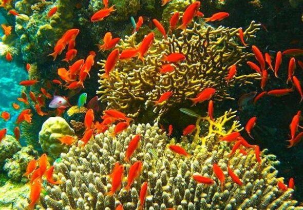 a9e13a7b92024a61b088a721a4fee760