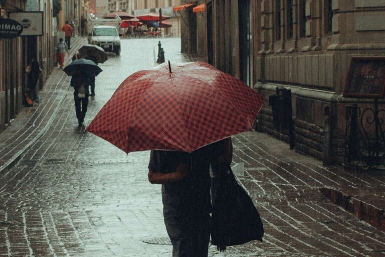 d61e540974da42e4a3c86e43cb54a76e