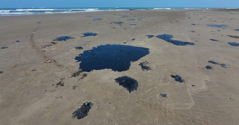 f03ab8564607440ab512a2350349db7e