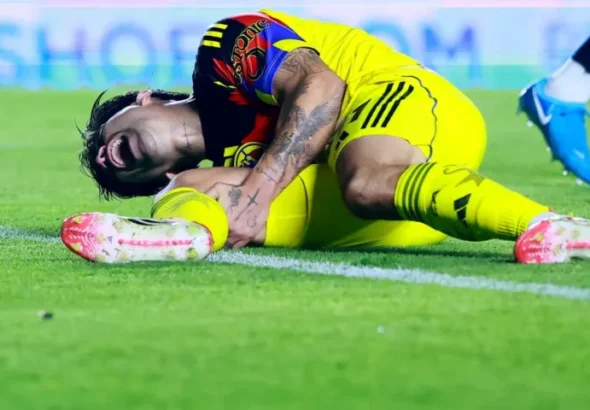 lesion_c40019ae1676_0