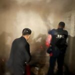 022a9ec30da2446e8edebc1950f8e50c