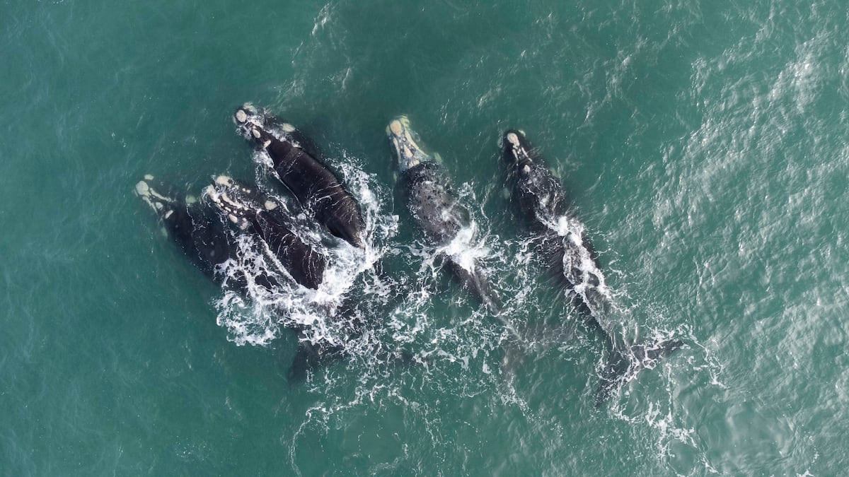 06076c1a429a4e718e540e20fe0c9f2d