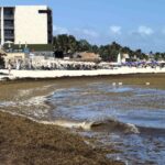 0f90a4d8e3254fc998f081eb7b0dd0e8