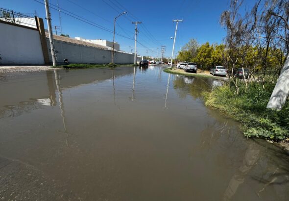 17542dfe0a07425f80ebd795b4e9f172