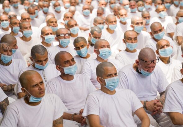 1c095680cfe84b23980dcc390e46f989