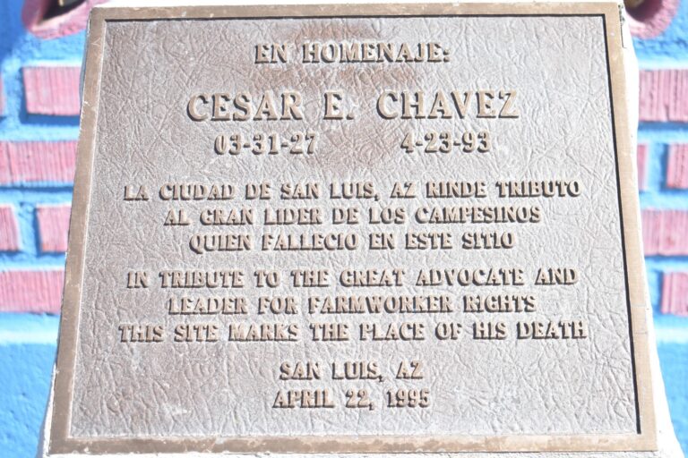 213b4dbd720d40238315b7011339a7ff