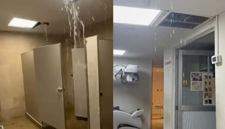 26c51a8dc4af4542a22b0309762d9fdf