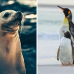 517eaa9a2c7a46f08a5d3ebcded382cf