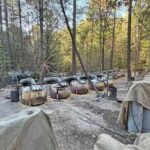 559f7f858ea647349b6970b21fc2baf7