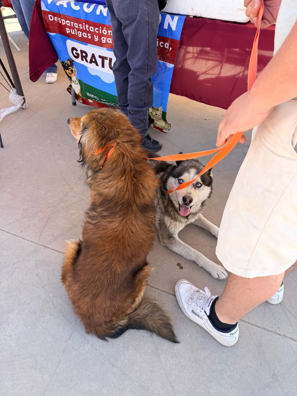 5cdf8ddb24f845d2b2a77b6797b71362