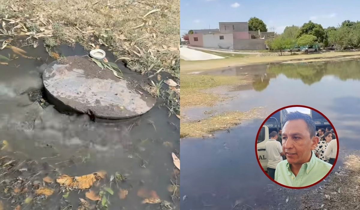 5dafdd3c5257404ab362f4091dc3f9f7