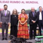 6dcaad8fc12c4a6991c3693aa4dc9e7e