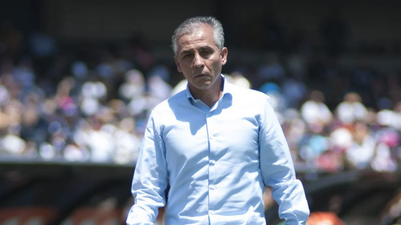 6e5a55aeed9541a7b84130c94a393e3a