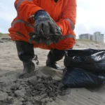 7e044873e1924eefbf747ef810894541