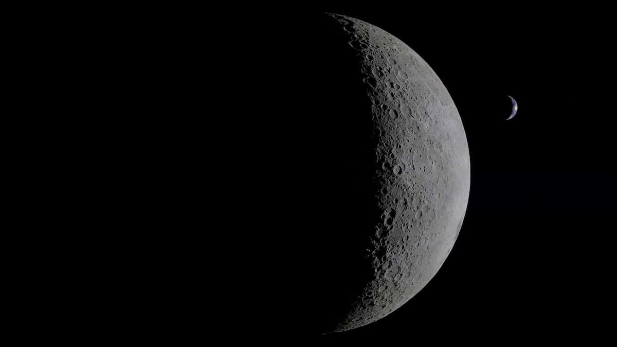 8333a8a6187140b7a4532361cdab7626