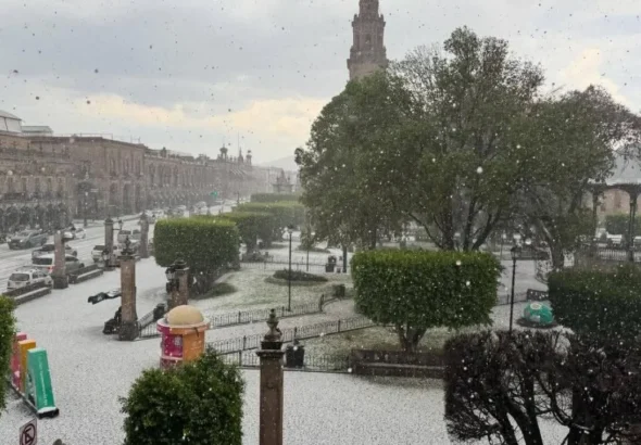 8a66820272624a119d66059b20dc32d3