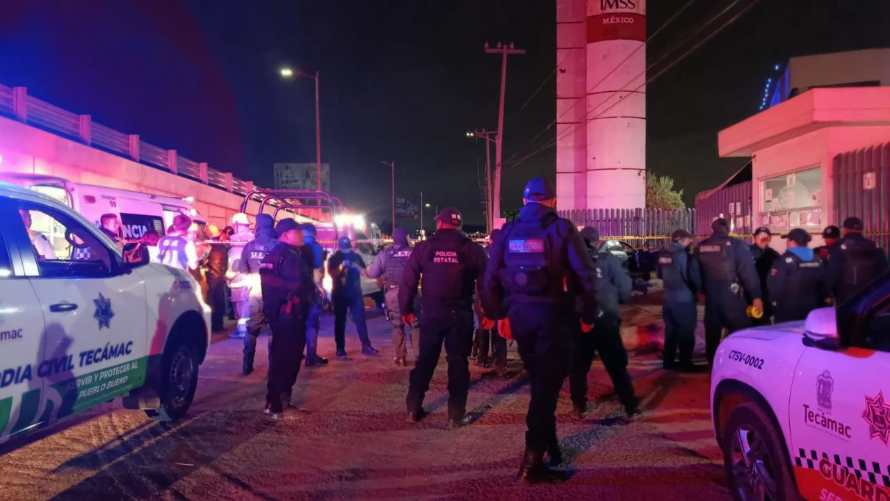 91b8af253bc440a0a8980658605d6a7f