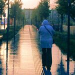 955b1a9ba3584690a39d8d7c442869c6