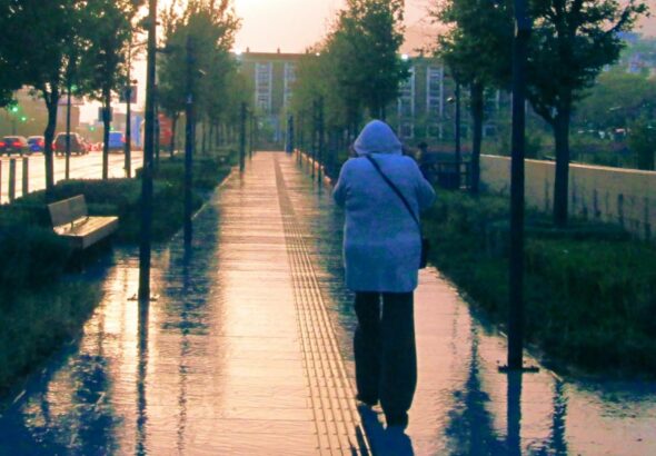 955b1a9ba3584690a39d8d7c442869c6