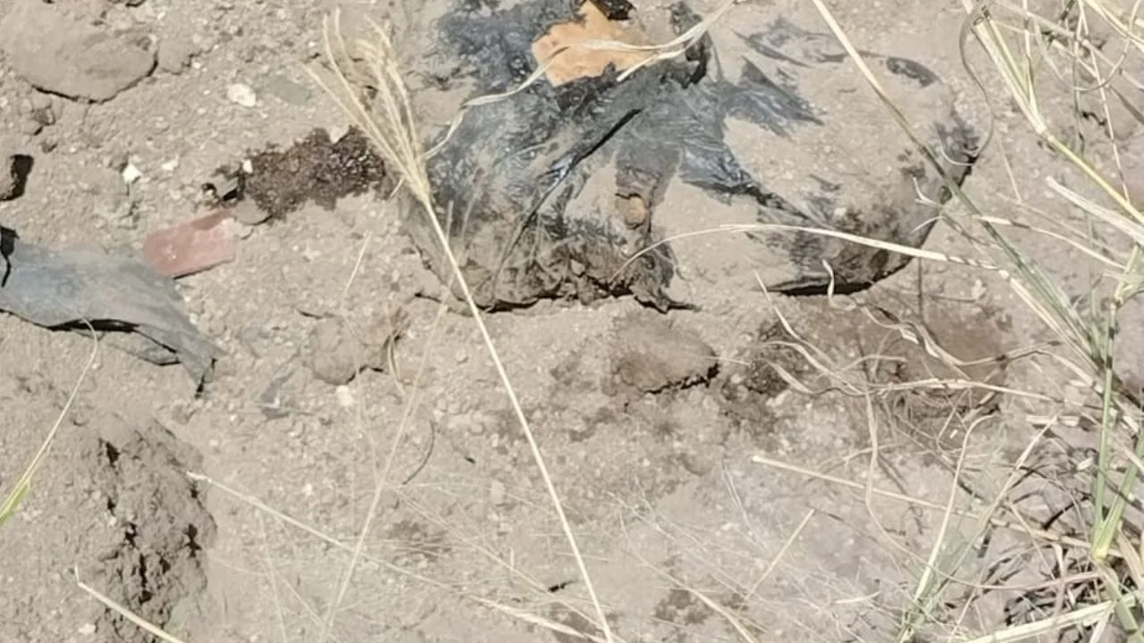 96b727cfb5e0430eb3f5a7ec4a35c788