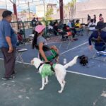 978baab001c64c08bcc599336c63fb47