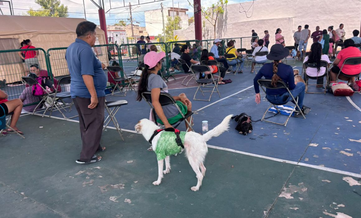 978baab001c64c08bcc599336c63fb47