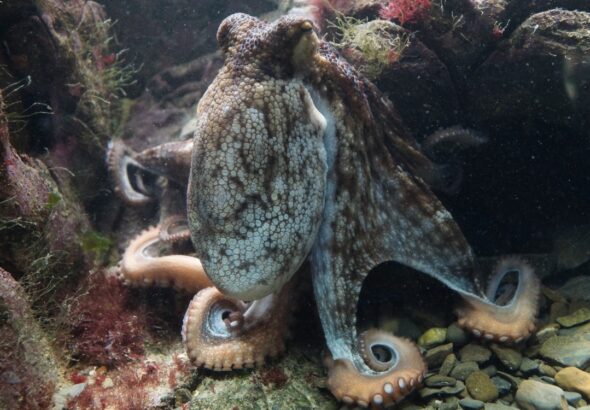 9cea31d2086a494eb8298b7526b845ca