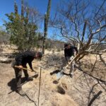 a230041f2f4c4e20baedfec5039487cc