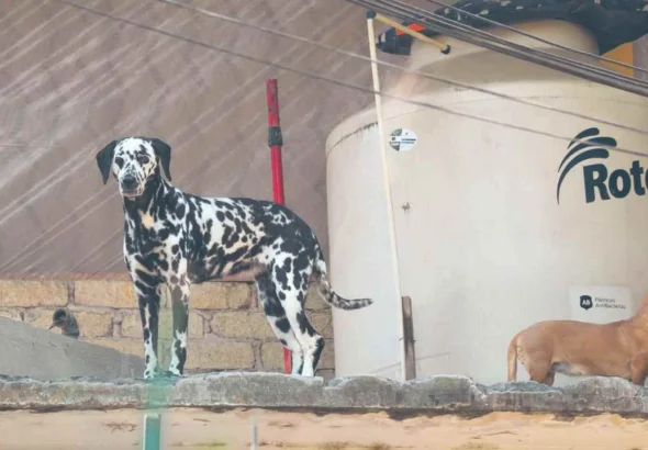 b84ad18408f4452da6fa004240b77874