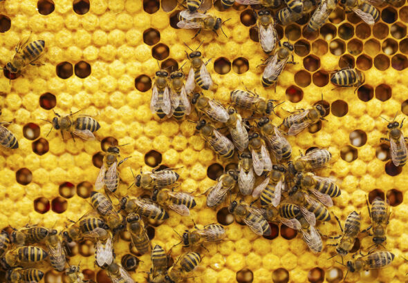 c49365f1dca241c3822707aff5ff05b8