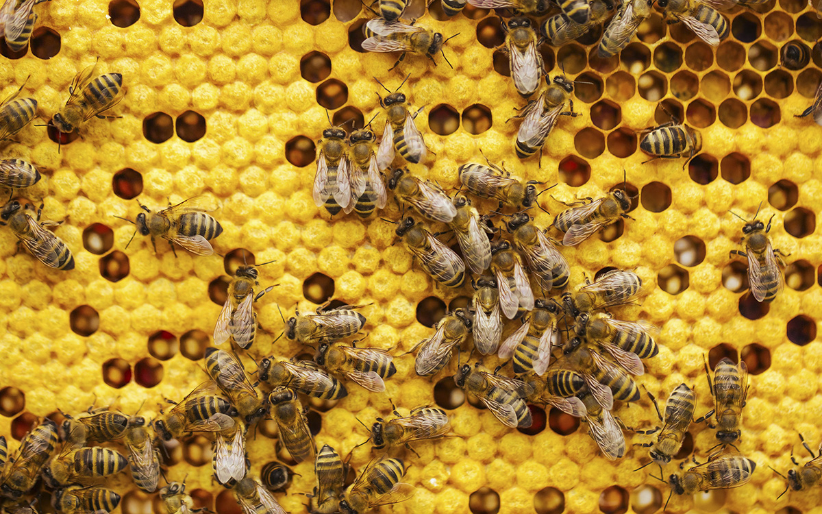 c49365f1dca241c3822707aff5ff05b8