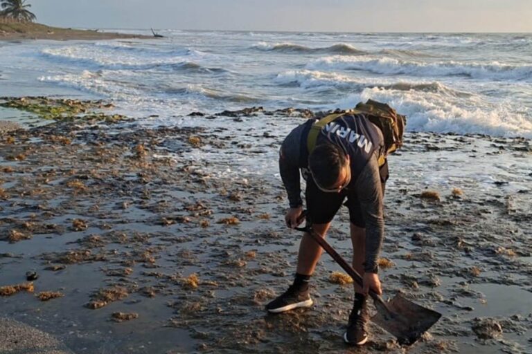 c53645d9d97b43a7948c3c4db8a1bfbf