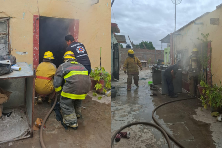 cae6e5f786d7439b874916b12f541648