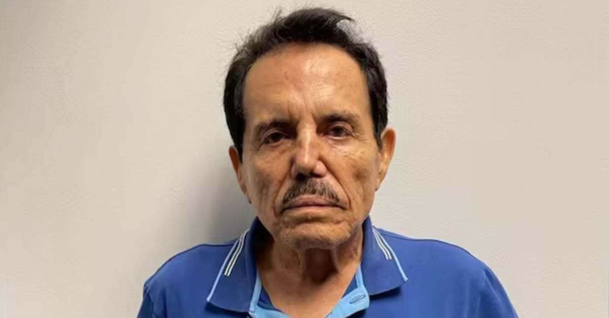 d66085c6c46a42038380eb75f8c8081b