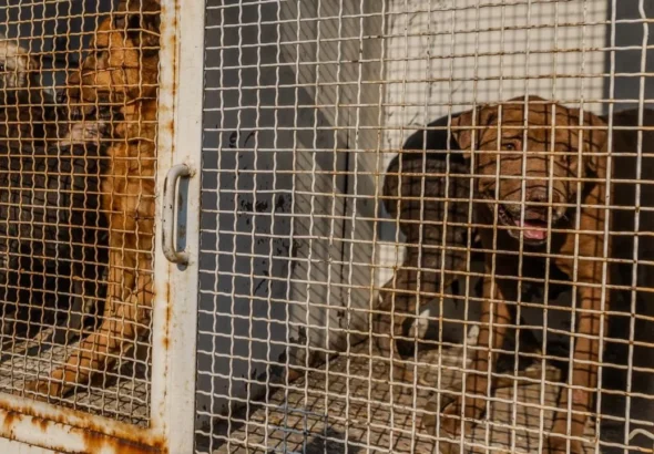 d98935df2f4a410a8e0fb1b6f3dfddbd