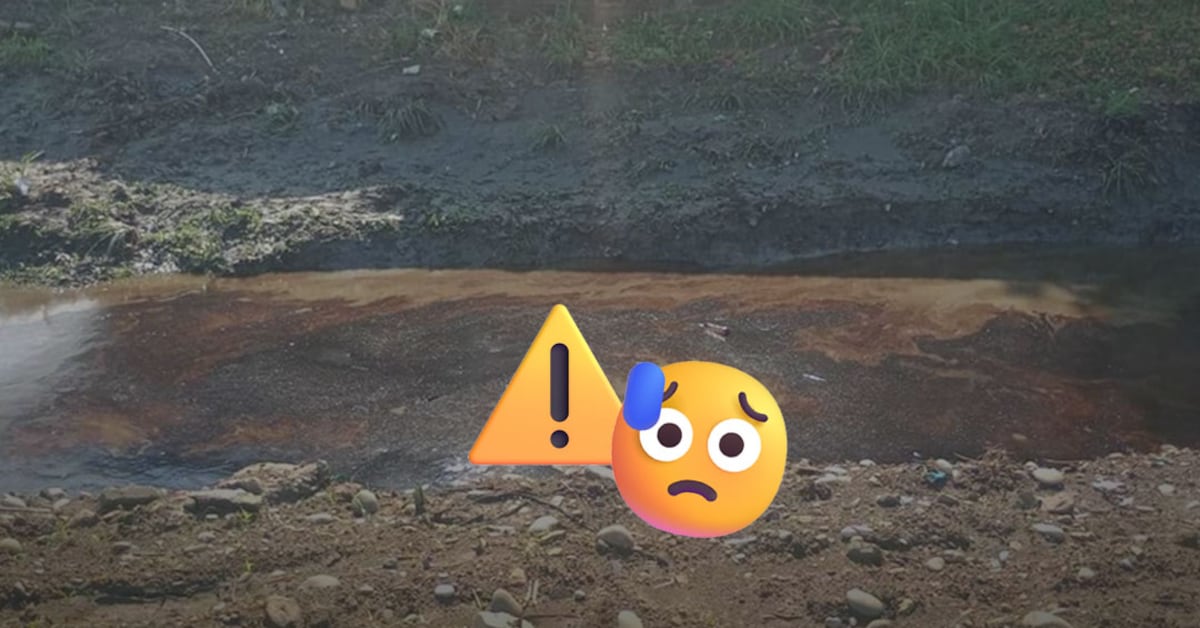 e8180f93096e4c85aaca3c767961048a