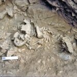 ebecd7097a6f45088947d039b1e3500d